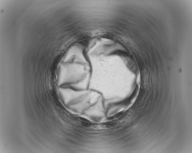 X0000070190316200606161557