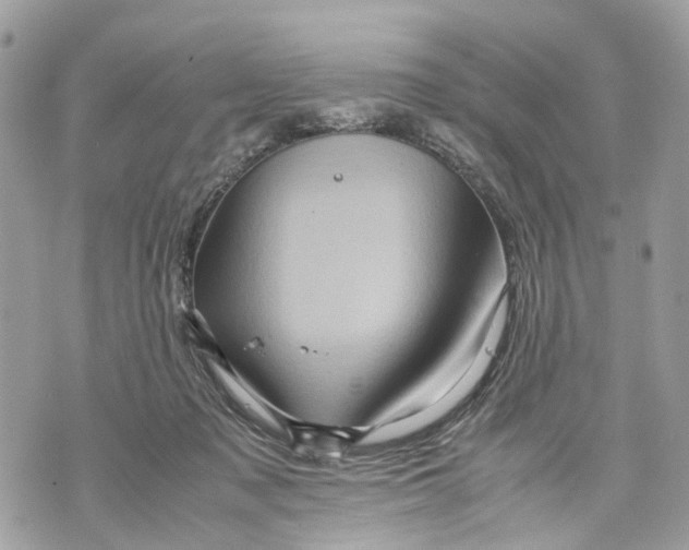 X0000070190317200606161557