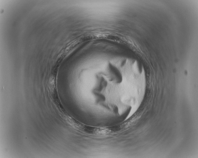 X0000070190321200606161557