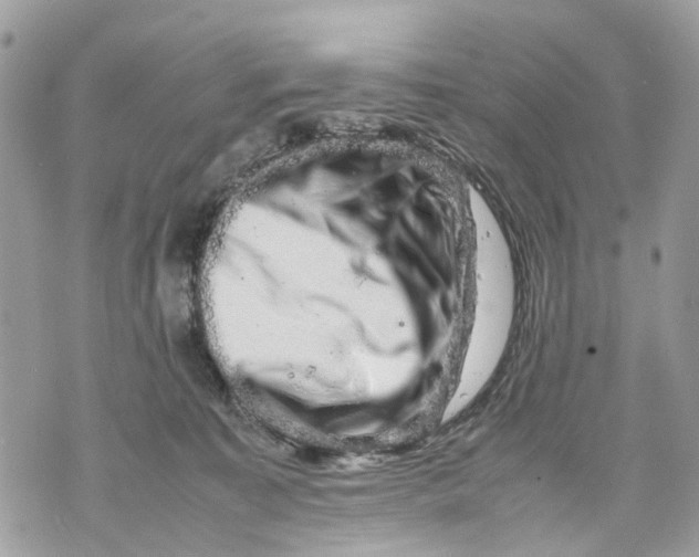 X0000070190323200606161557