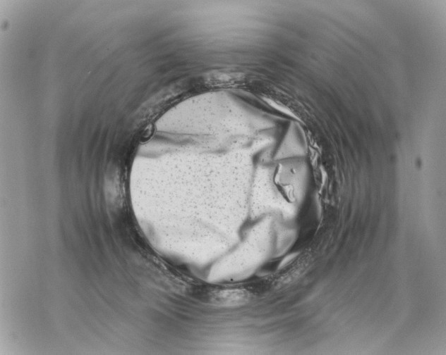 X0000070190324200606161557