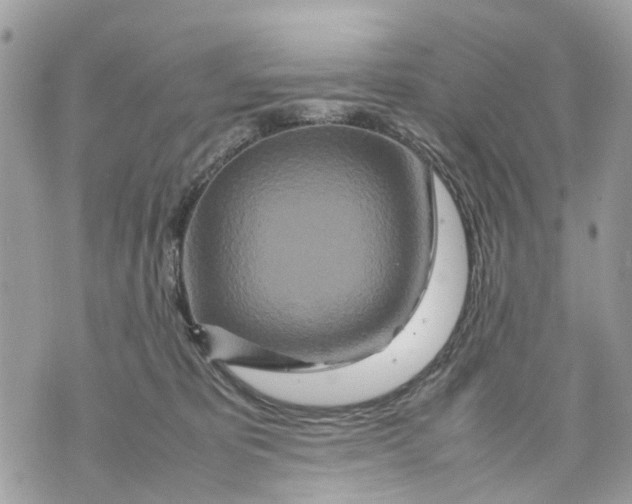 X0000070190325200606161557