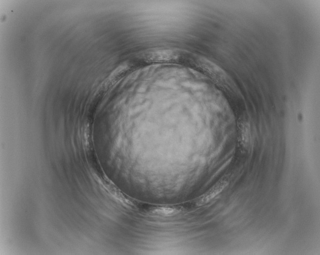 X0000070190326200606161557