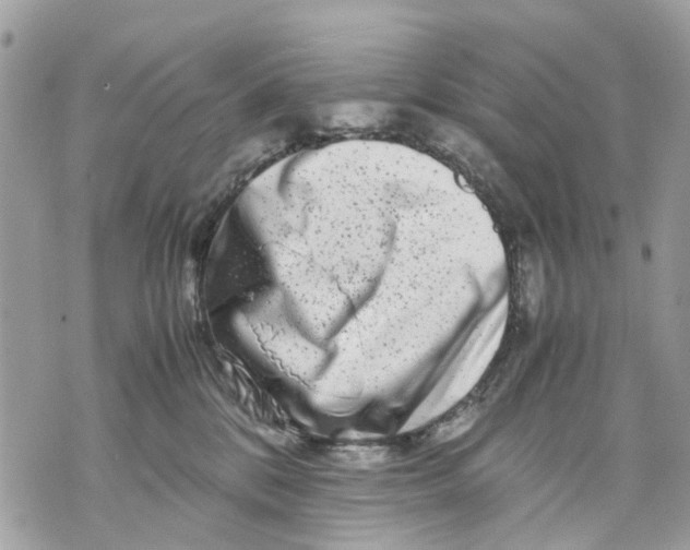 X0000070190328200606161557