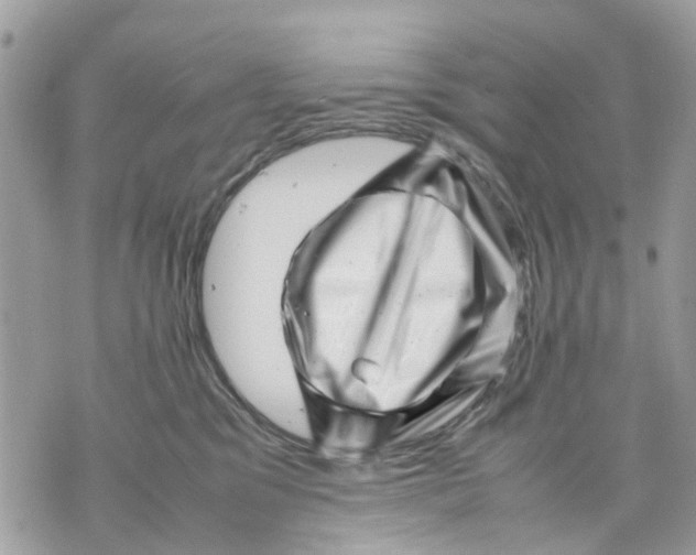 X0000070190329200606161557