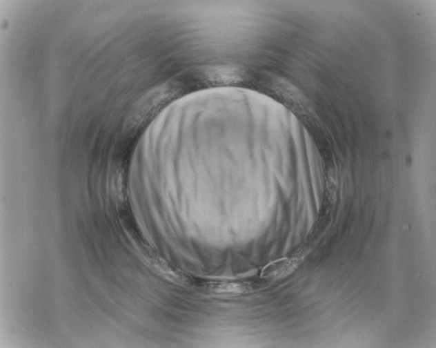 X0000070190330200606161557