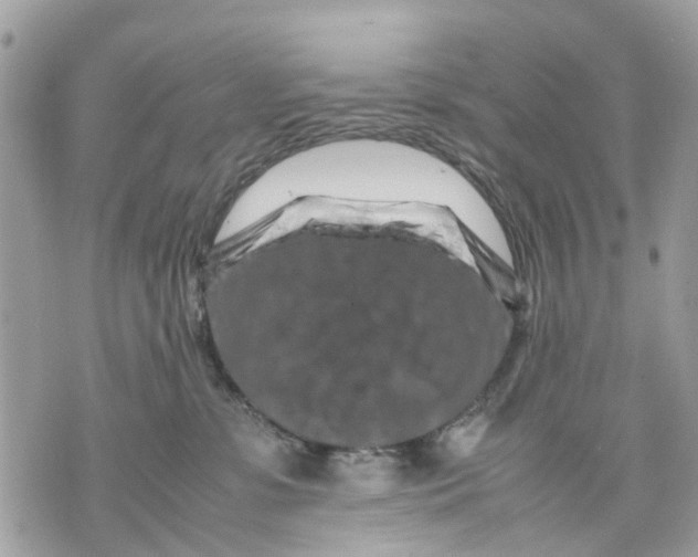 X0000070190331200606161557