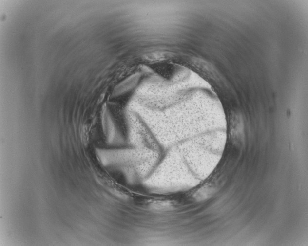 X0000070190332200606161557