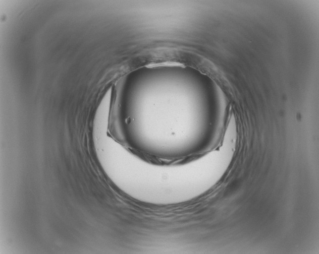 X0000070190333200606161557