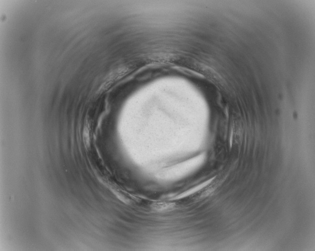 X0000070190334200606161557