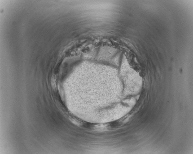 X0000070190335200606161557