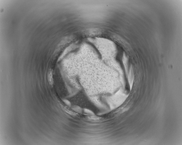 X0000070190336200606161557