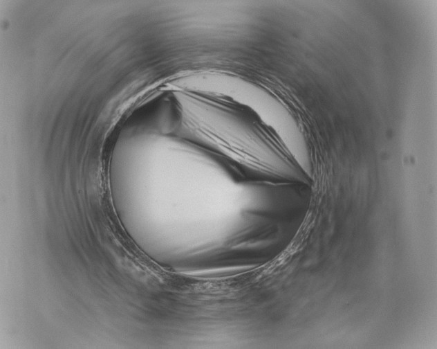 X0000070190338200606161556