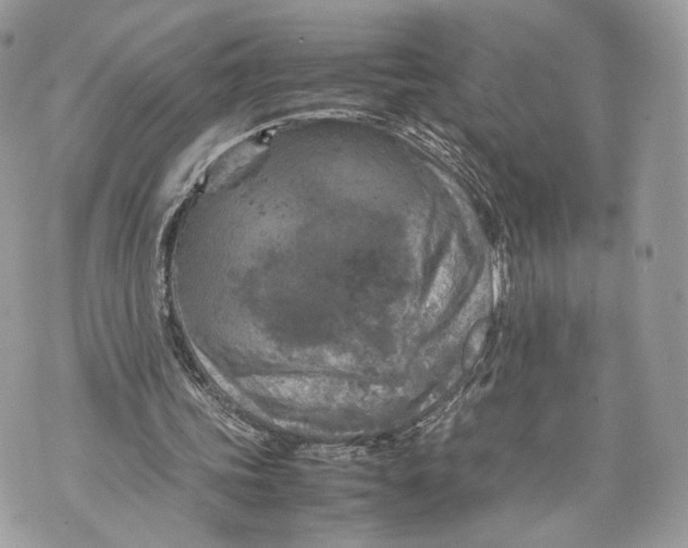 X0000070190339200606161556