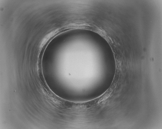 X0000070190340200606161556