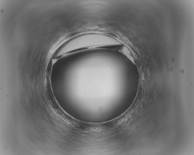 X0000070190344200606161556