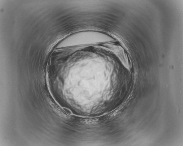 X0000070190345200606161556