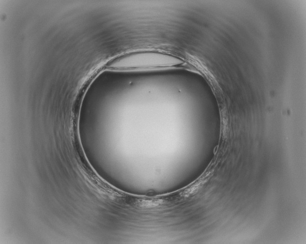 X0000070190346200606161557