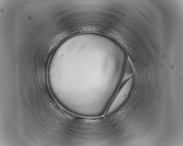 X0000070190347200606161557