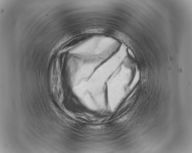 X0000070190349200606161557