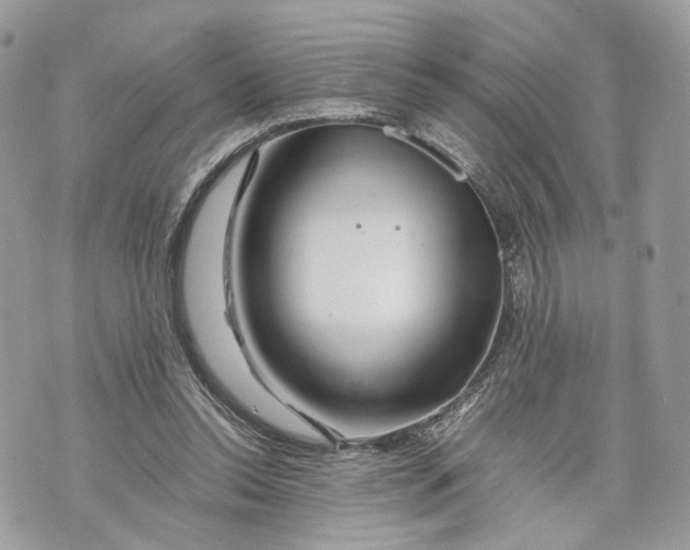 X0000070190350200606161557