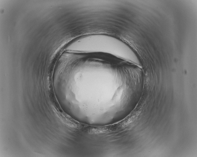 X0000070190351200606161557