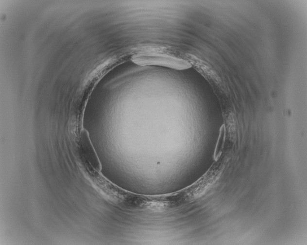 X0000070190352200606161557