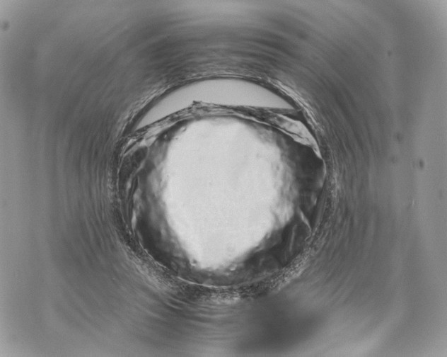 X0000070190353200606161557