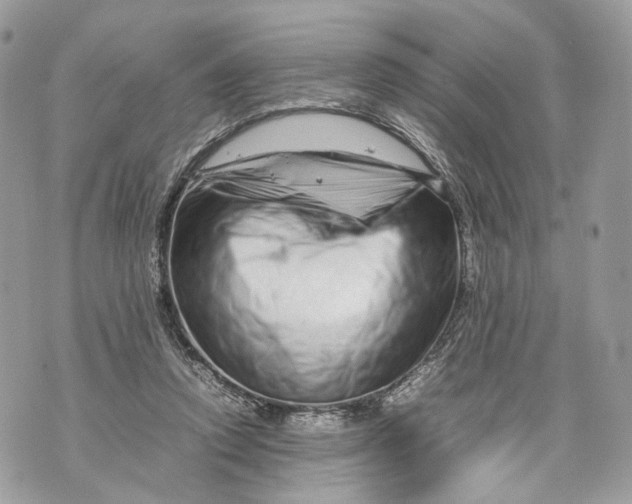 X0000070190354200606161557