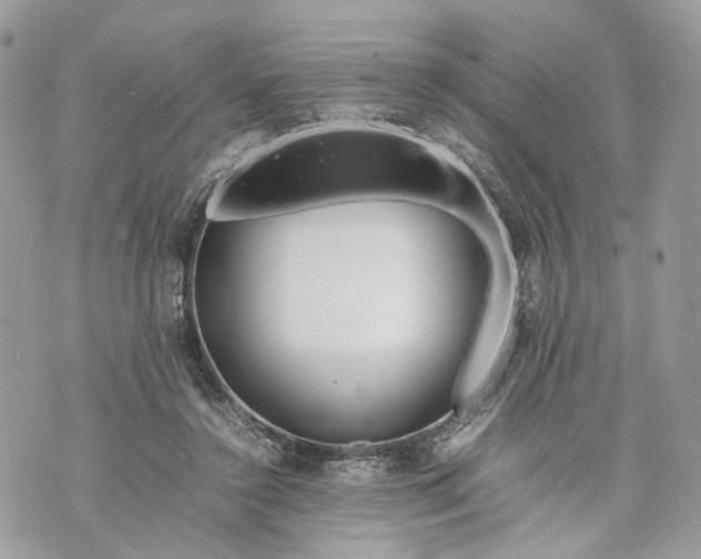 X0000070190356200606161557