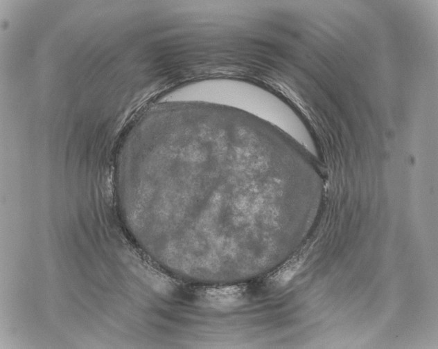 X0000070190357200606161557