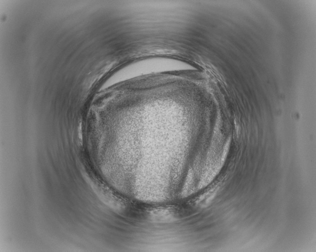 X0000070190358200606161557