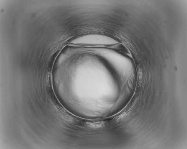 X0000070190359200606161557