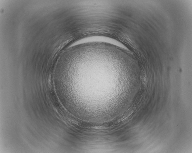 X0000070190360200606161557