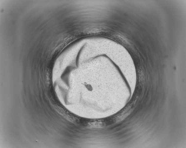 X0000070190362200606161557