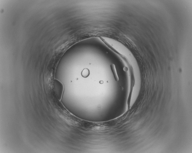 X0000070190364200606161557