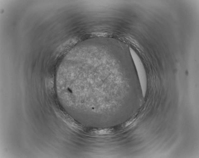 X0000070190365200606161557