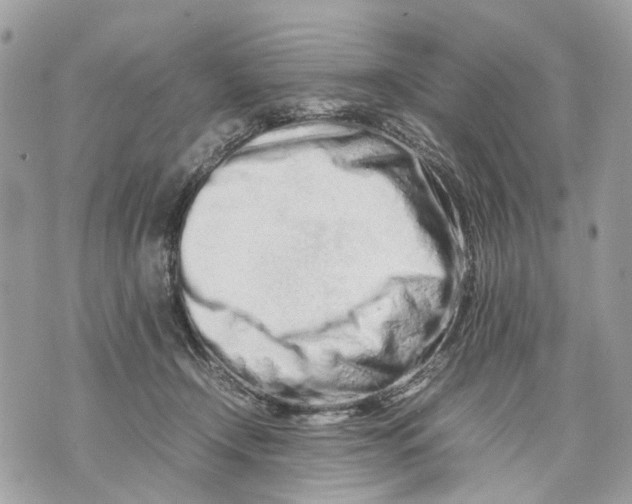 X0000070190366200606161557