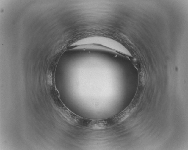 X0000070190368200606161557