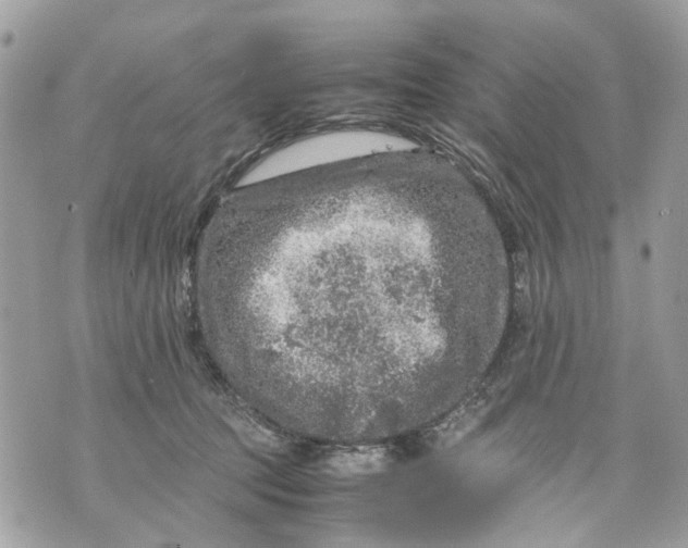 X0000070190369200606161557