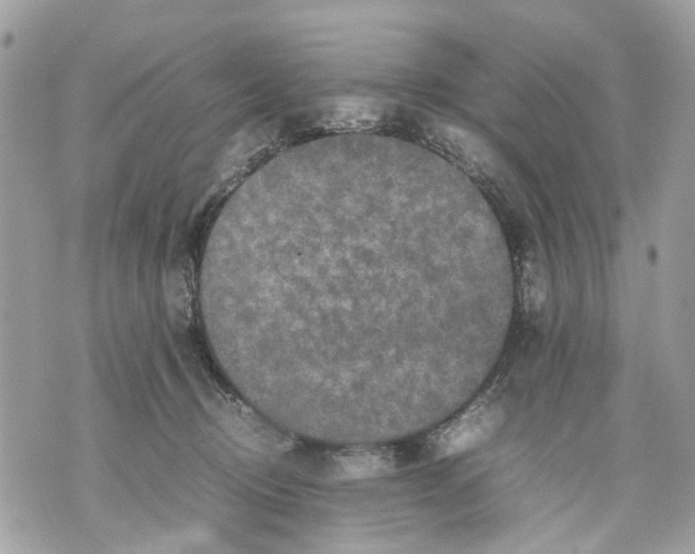 X0000070190370200606161557