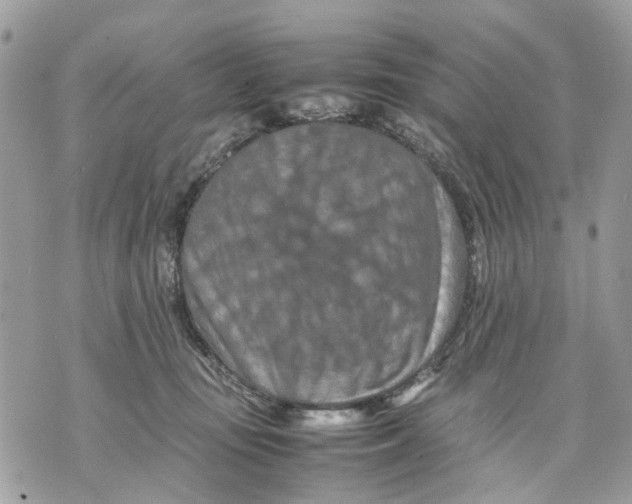 X0000070190371200606161557