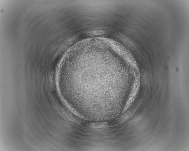 X0000070190373200606161557