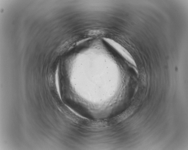 X0000070190375200606161557