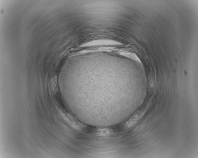 X0000070190376200606161557