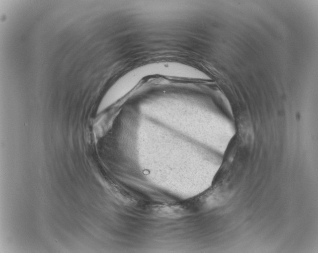 X0000070190379200606161557