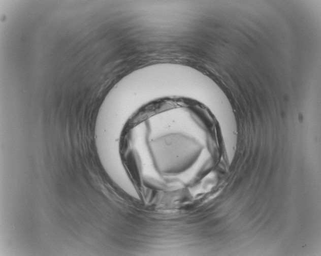 X0000070190380200606161557