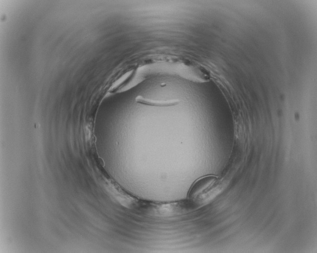 X0000070190382200606161557