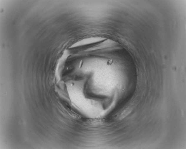 X0000070190384200606161557