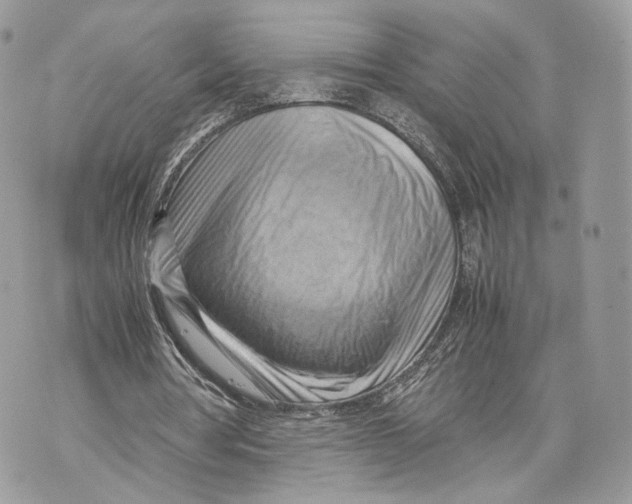 X0000070190386200606161556